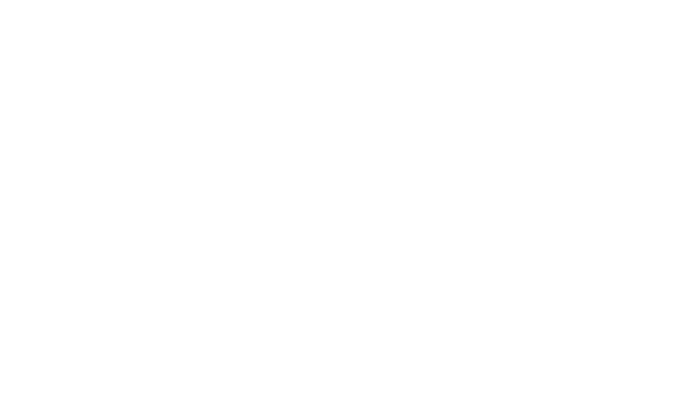DECOTEAM Logo