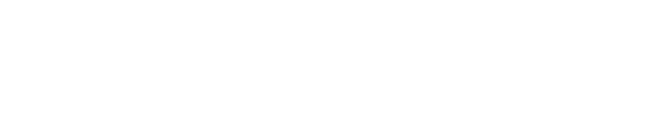 LEVEL Logo